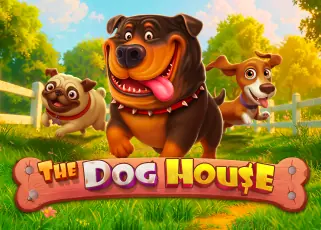 sbo2u รีวิว The Dog House ทดลองเล่นฟรี